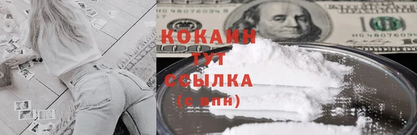 прущие грибы Богородицк