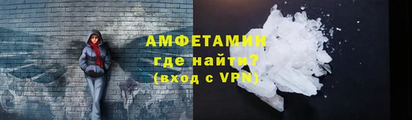 прущие грибы Богородицк