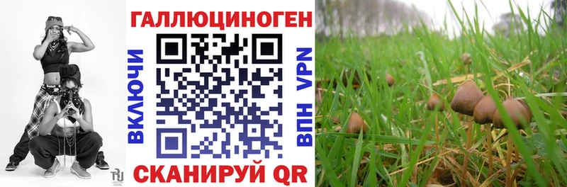 Галлюциногенные грибы мицелий  Городовиковск 